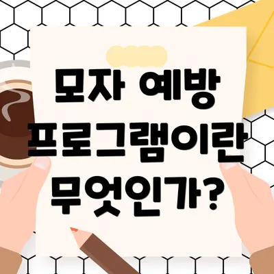 모자 예방 프로그램이란 무엇인가?