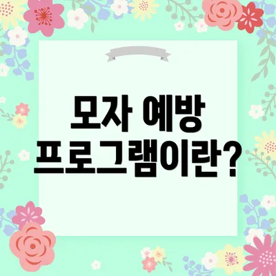 모자 예방 프로그램이란?