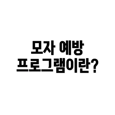 모자 예방 프로그램이란?