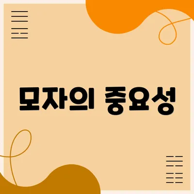 모자의 중요성