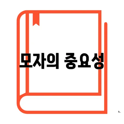 모자의 중요성