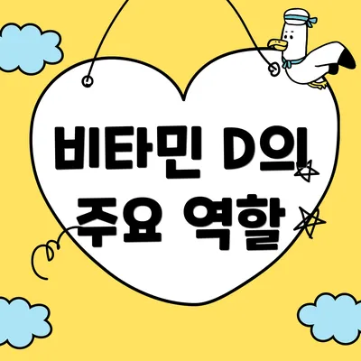 비타민 D의 주요 역할