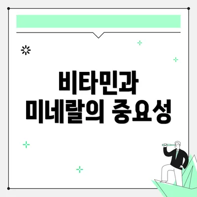 비타민과 미네랄의 중요성