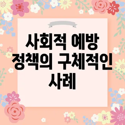 사회적 예방 정책의 구체적인 사례