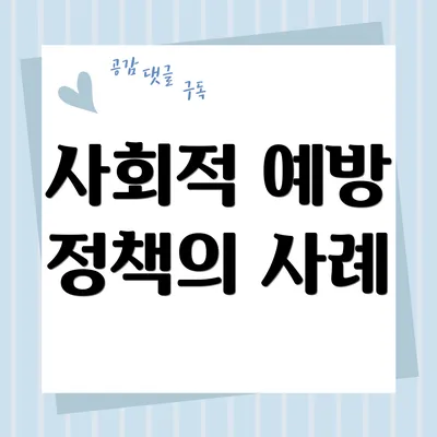 사회적 예방 정책의 사례