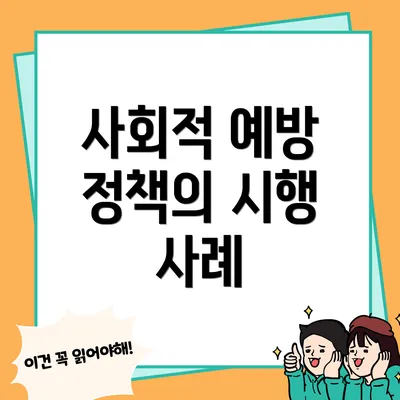 사회적 예방 정책의 시행 사례