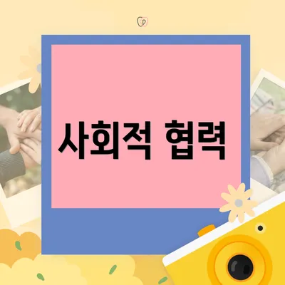 사회적 협력