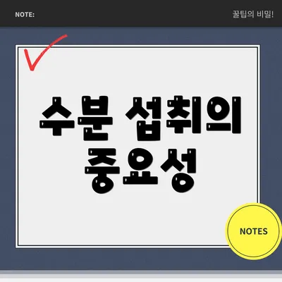 수분 섭취의 중요성