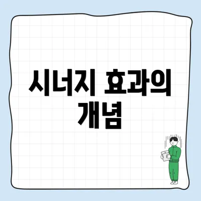시너지 효과의 개념