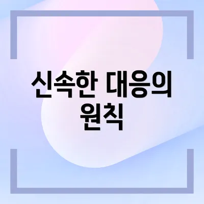 신속한 대응의 원칙