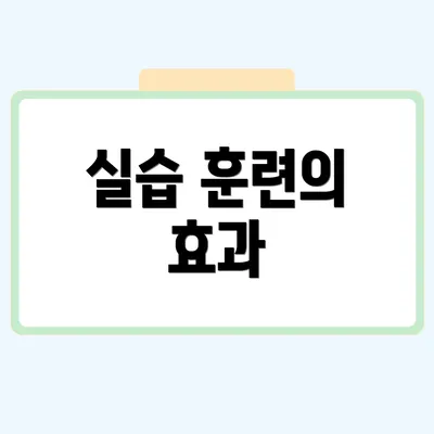 실습 훈련의 효과
