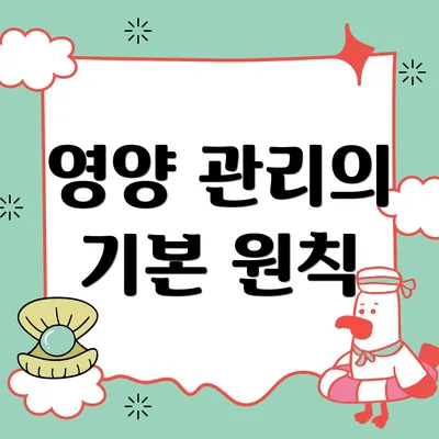 영양 관리의 기본 원칙