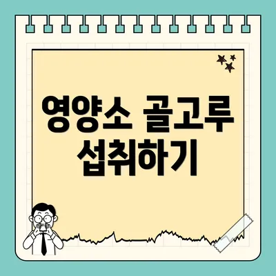 영양소 골고루 섭취하기