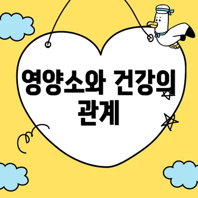 영양소와 건강의 관계