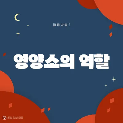 영양소의 역할