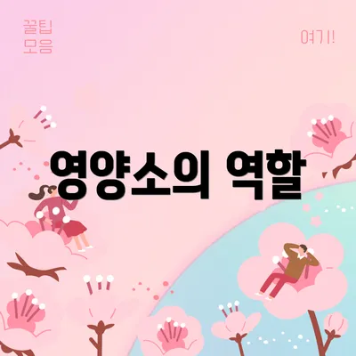 영양소의 역할