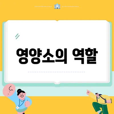 영양소의 역할