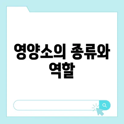 영양소의 종류와 역할