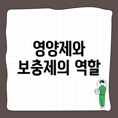영양제와 보충제의 역할