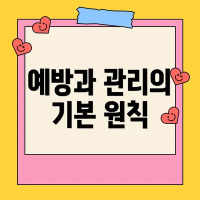 예방과 관리의 기본 원칙
