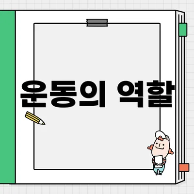 운동의 역할