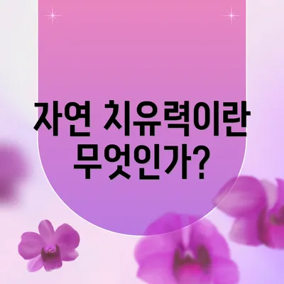 자연 치유력이란 무엇인가?