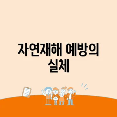 자연재해 예방의 실체