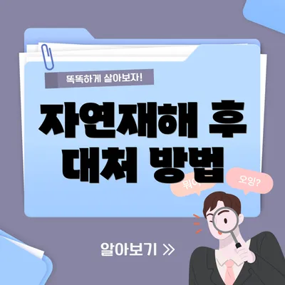 자연재해 후 대처 방법
