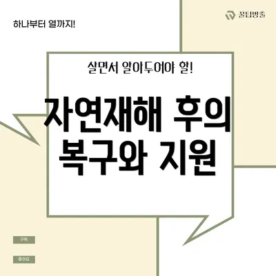 자연재해 후의 복구와 지원