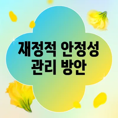 재정적 안정성 관리 방안