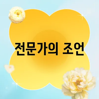 전문가의 조언
