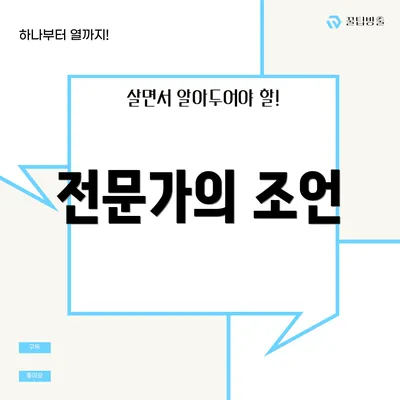 전문가의 조언