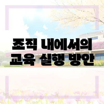 조직 내에서의 교육 실행 방안