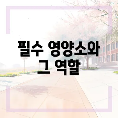필수 영양소와 그 역할