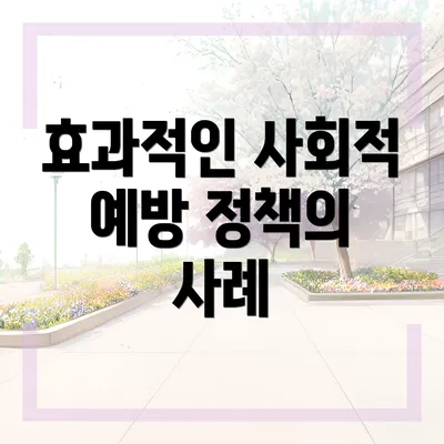 효과적인 사회적 예방 정책의 사례