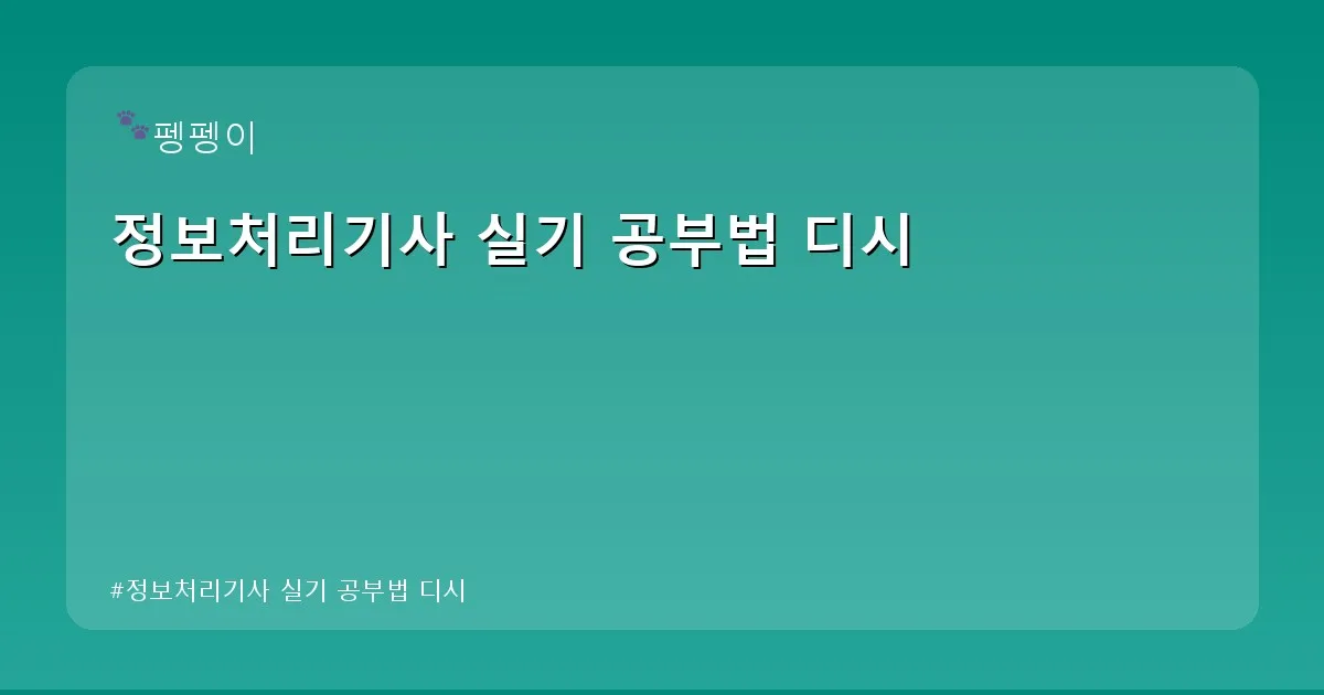 정보처리기사 실기 공부법 디시 - likesomea.kr 캐릭터