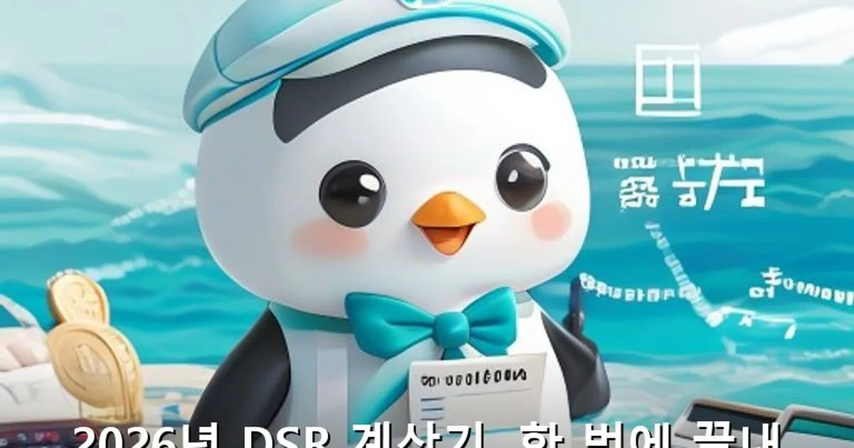 DSR 계산기 - likesomea.kr 캐릭터