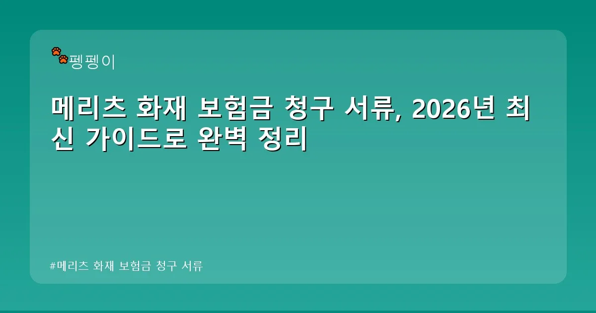 메리츠 화재 보험금 청구 서류 - likesomea.kr 캐릭터