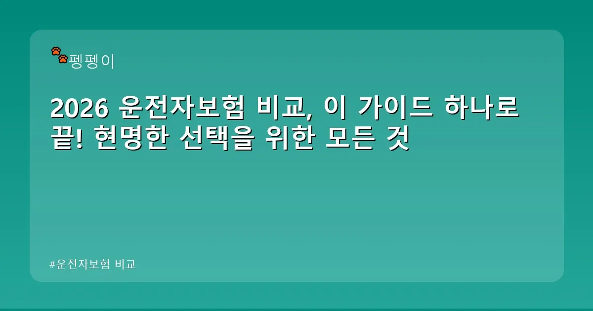 운전자보험 비교 - likesomea.kr 캐릭터
