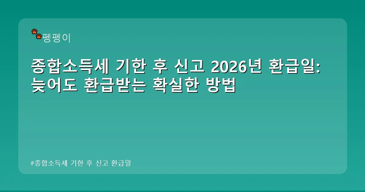 종합소득세 기한 후 신고 환급일 - likesomea.kr 캐릭터