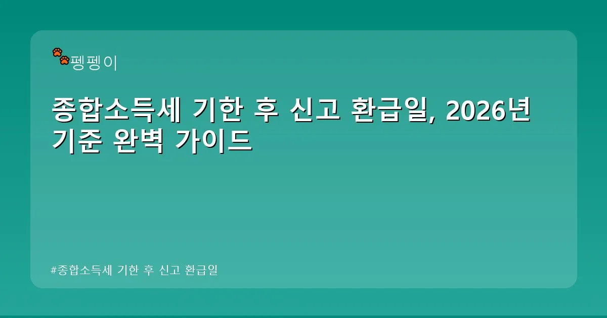 종합소득세 기한 후 신고 환급일 - likesomea.kr 캐릭터