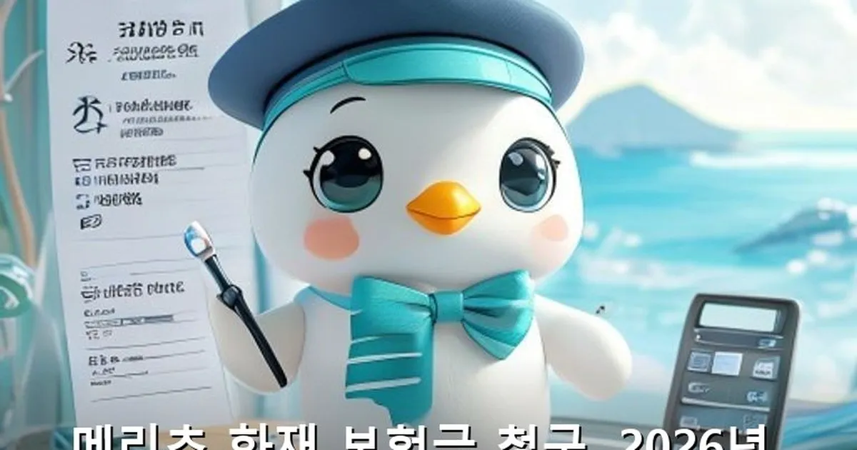 메리츠 화재 보험금 청구 - likesomea.kr 캐릭터